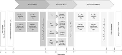 Lack of Effects of the Presence of a Dog on Pain Perception in Healthy Participants—A Randomized Controlled Trial